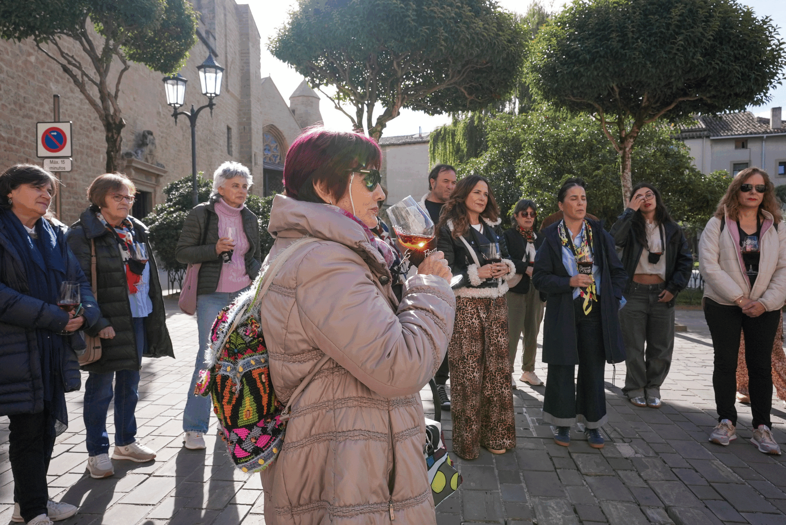 Paseo_Rosado_Olite (4)