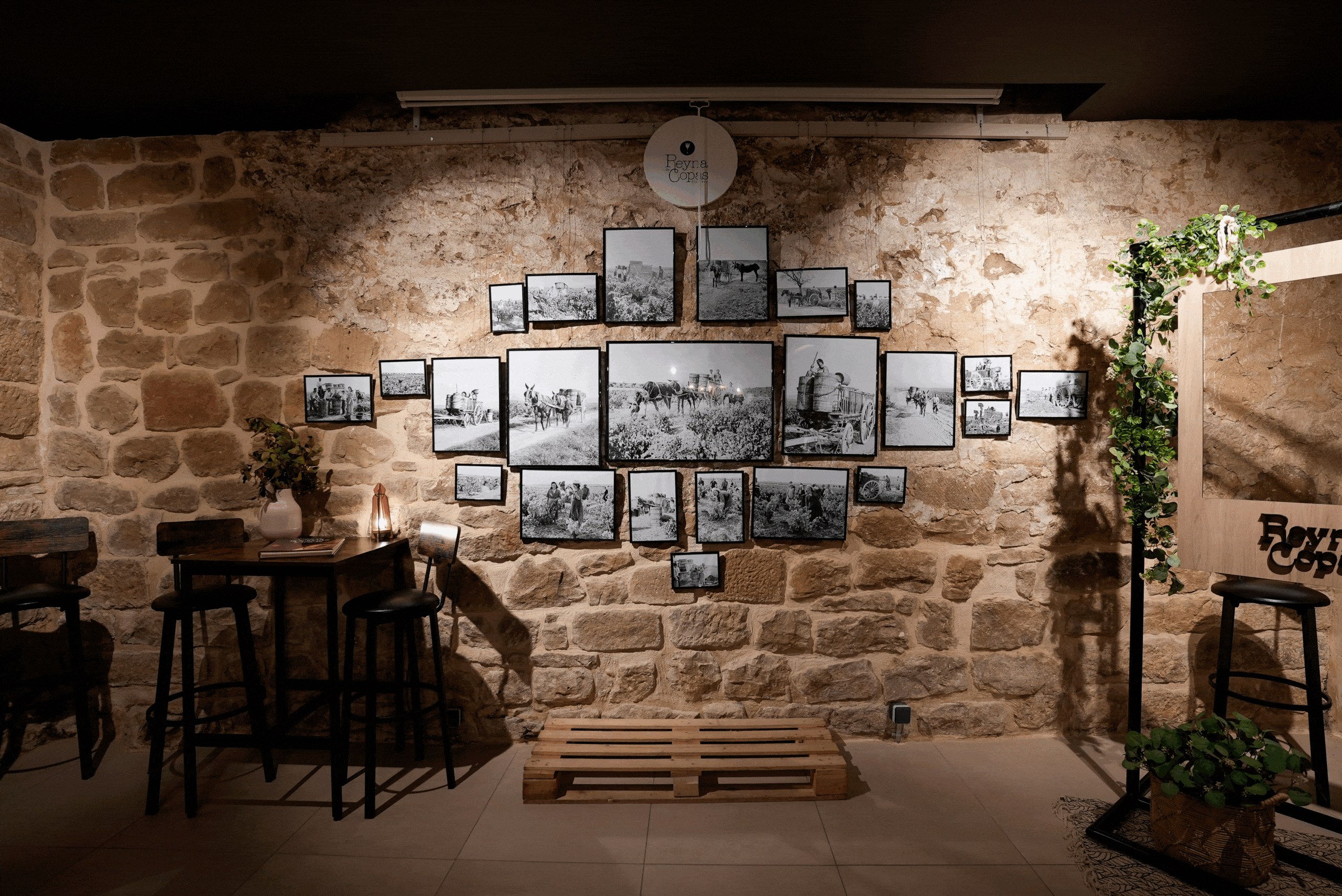 Vinoteca_Reyna_De_Copas_Olite-5-scaled