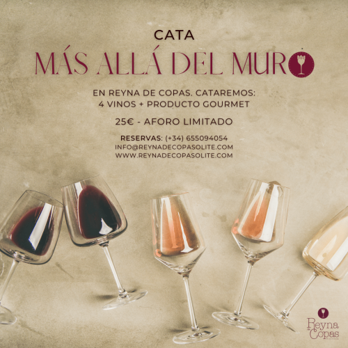 Cata Más Allá del Muro