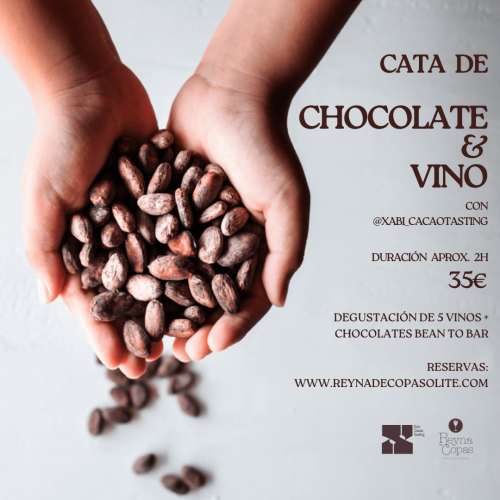 Cata de Chocolate & vino