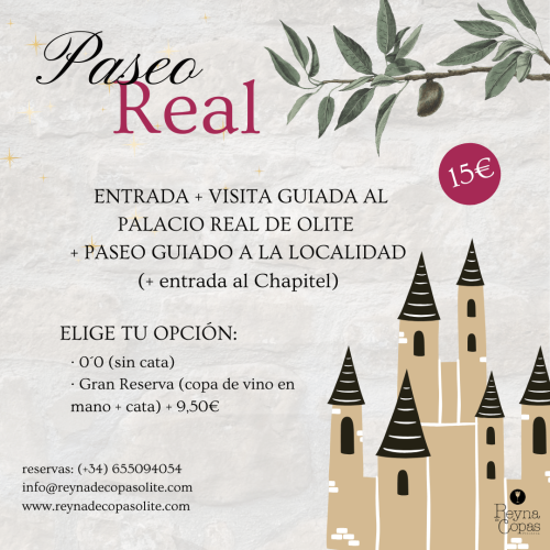 Paseo Real OPCIONES (cartel nuevo)
